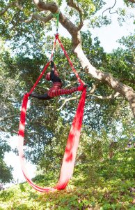 2016 Hotbed Benefit: Le Cirque du Nuit