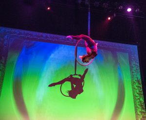 Edwardian Ball 2017