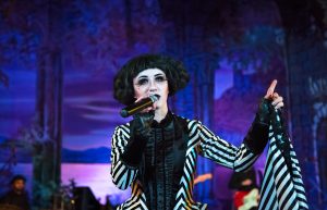 Edwardian Ball 2017
