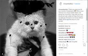 Karl Lagerfeld- choupette